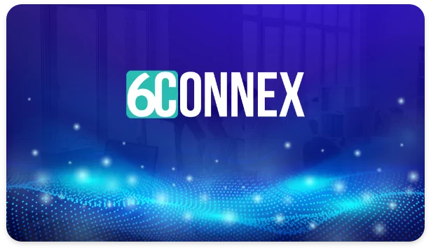 6connex-caso