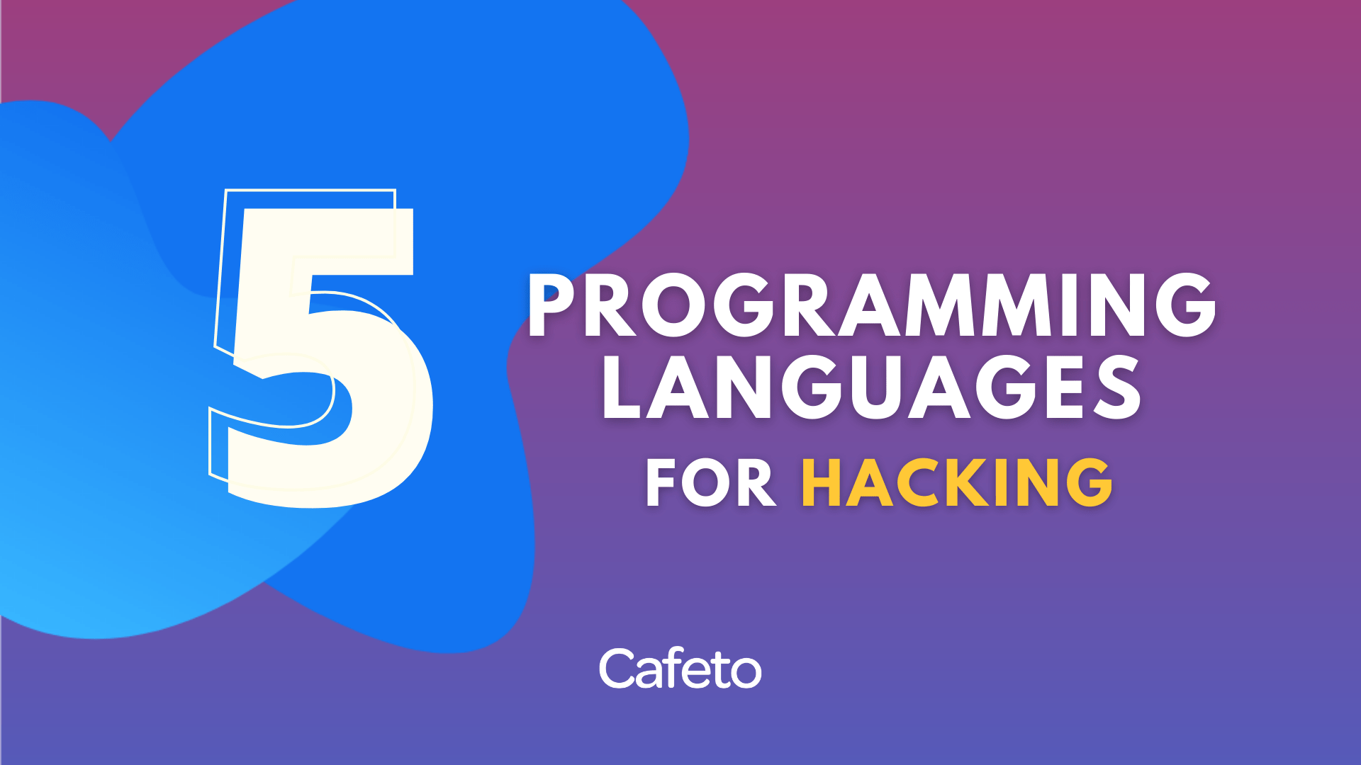 Hacking With These 5 Programming Languages