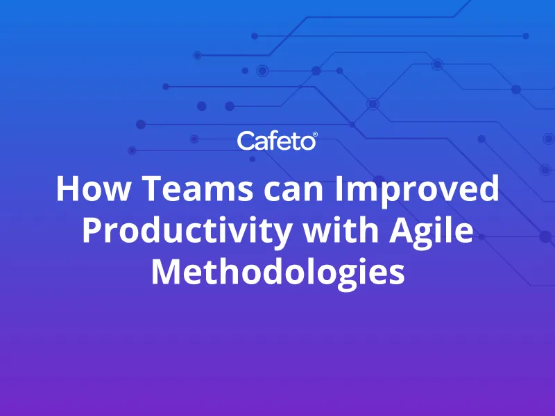 How Teams can Improved Productivity with Agile Methodologies​